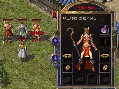 卧龙庄主容易击杀，但是仇恨很难抢到手